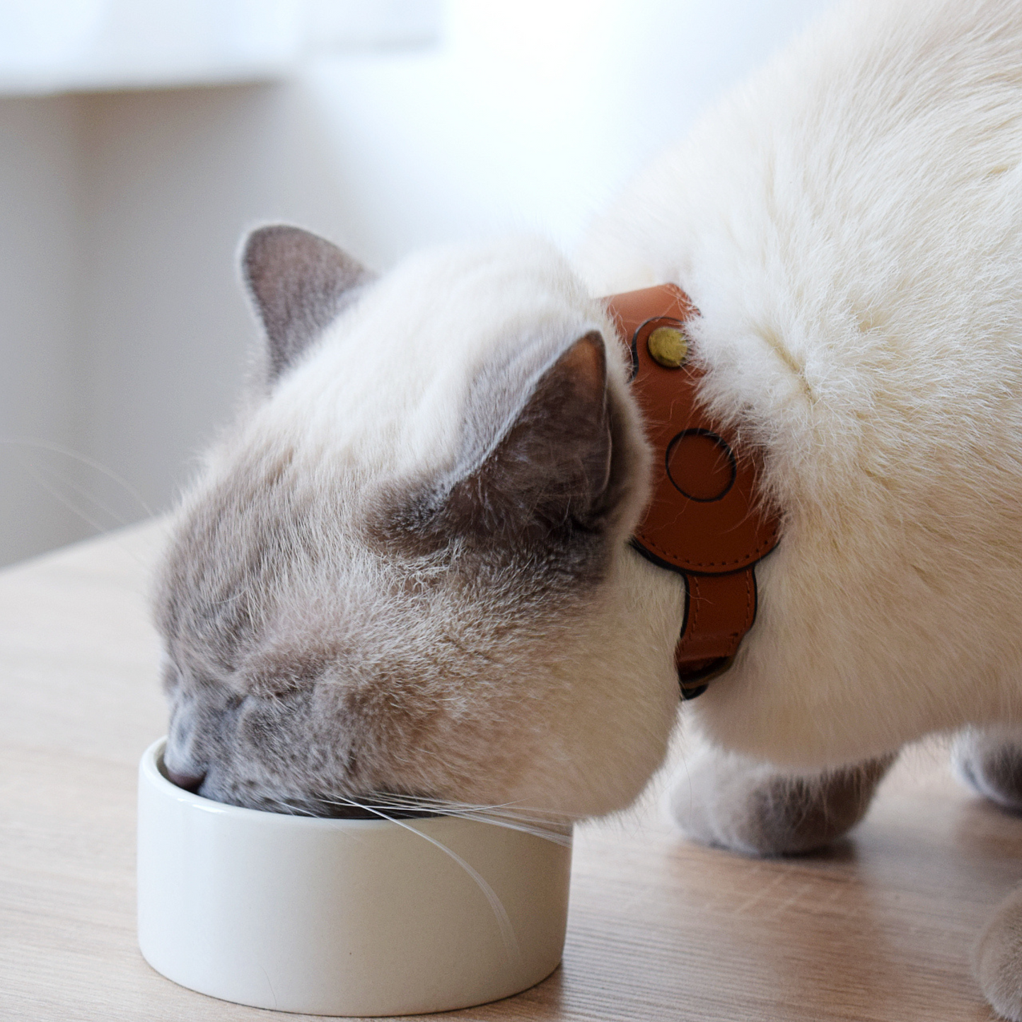 Collier pour chats en cuir véritable compatible AirTag