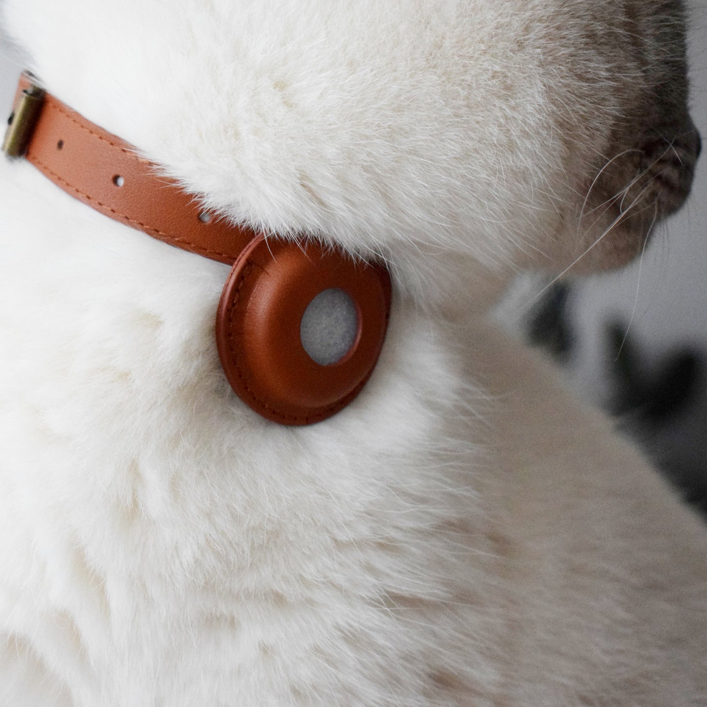 Collier pour chats en cuir véritable compatible AirTag avec étui amovible